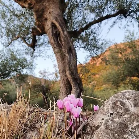 A Small Paradise In Mani With Local Hospitality Lägenhet *
