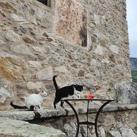 A Small Paradise In Mani With Local Hospitality Orovas