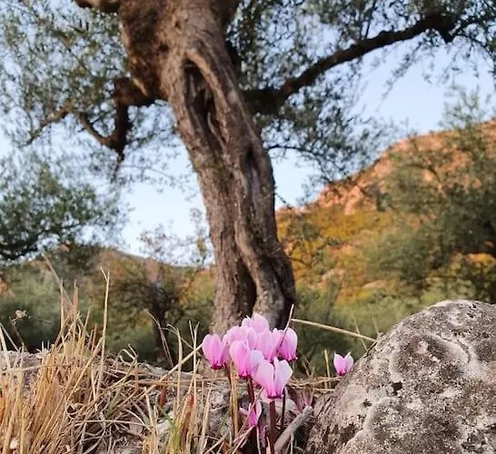 A Small Paradise In Mani With Local Hospitality 아파트 *