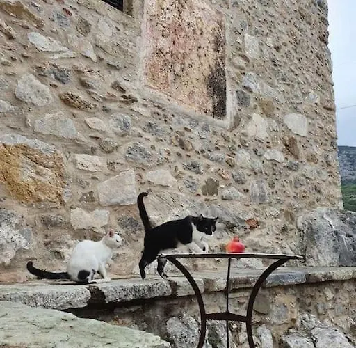 A Small Paradise In Mani With Local Hospitality Orovas